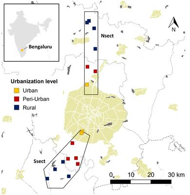Differences in enteric methane emissions across four dairy production systems in the urbanizing environment of an Indian megacity